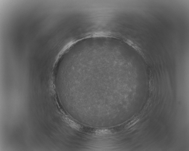 X0000056351454200509021709