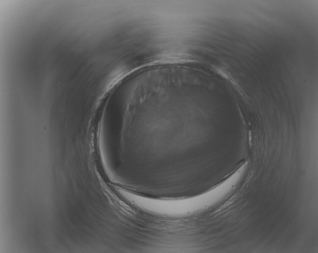 X0000056351459200509021709