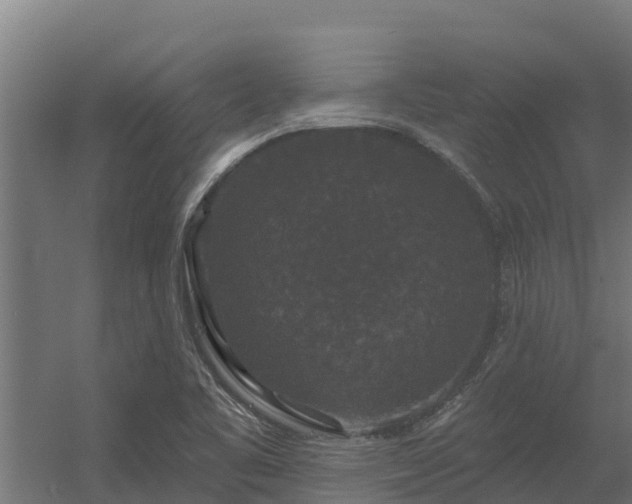 X0000056351461200509021709