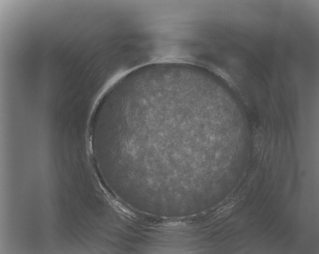 X0000056351462200509021709