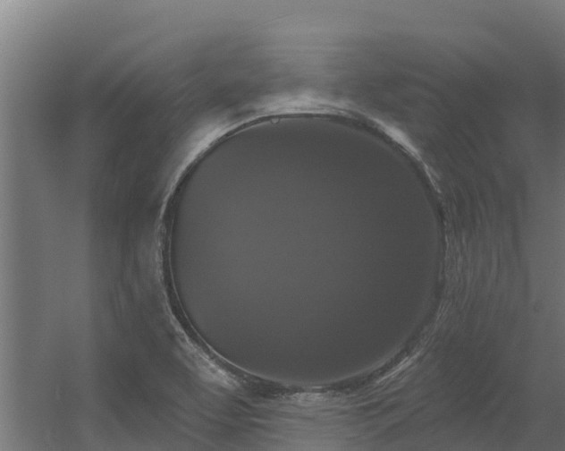 X0000056351463200509021709