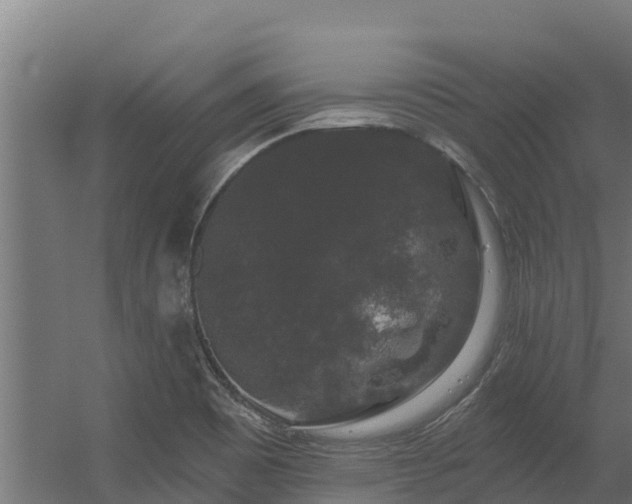 X0000056351465200509021709