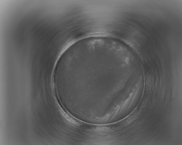 X0000056351466200509021709