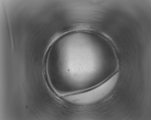 X0000056351467200509021709