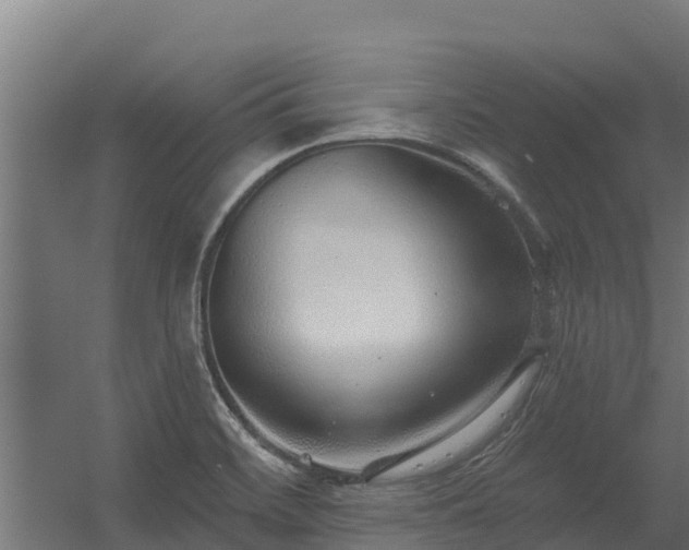 X0000056351468200509021709