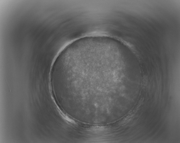 X0000056351470200509021709