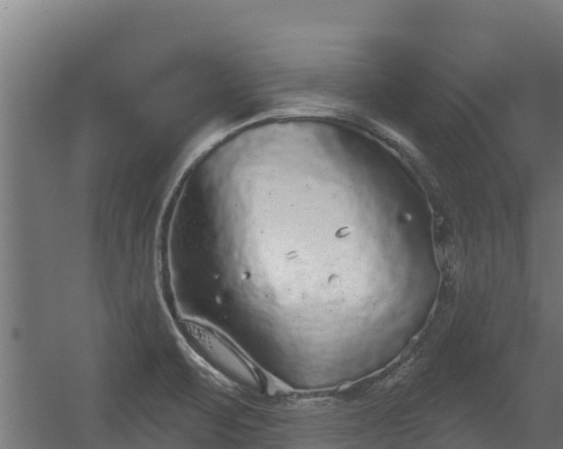 X0000056351471200509021709