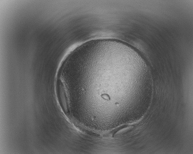 X0000056351472200509021709