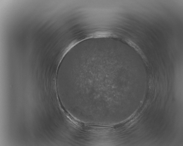 X0000056351473200509021709