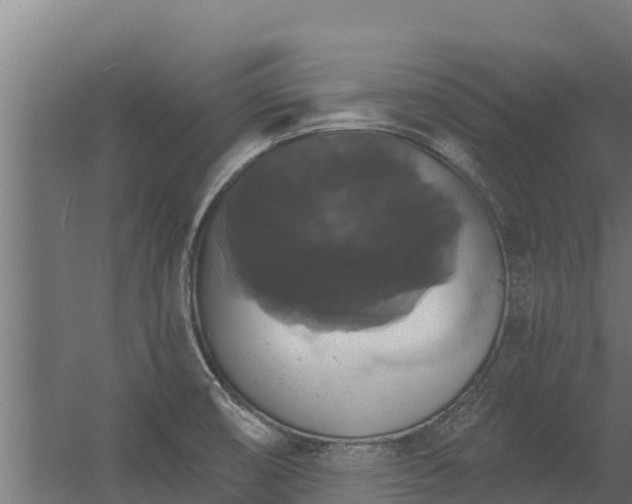 X0000056351474200509021709