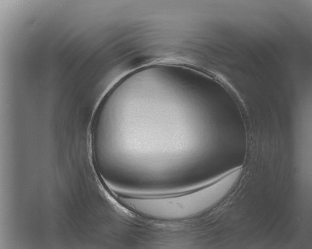 X0000056351476200509021709