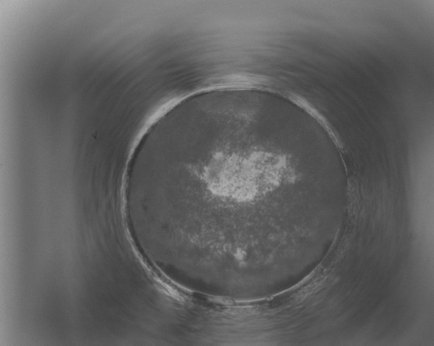 X0000056351477200509021709