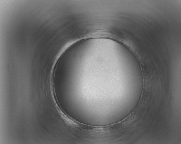 X0000056351478200509021709