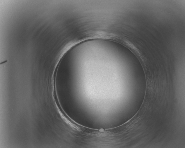 X0000056351479200509021709