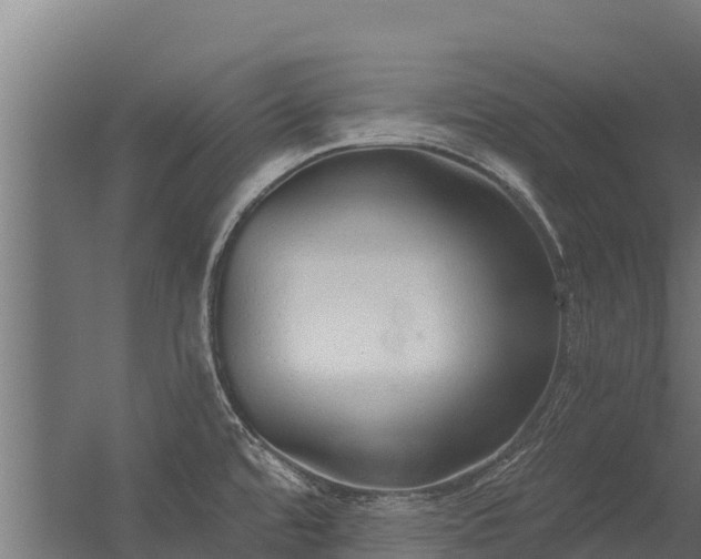 X0000056351480200509021709