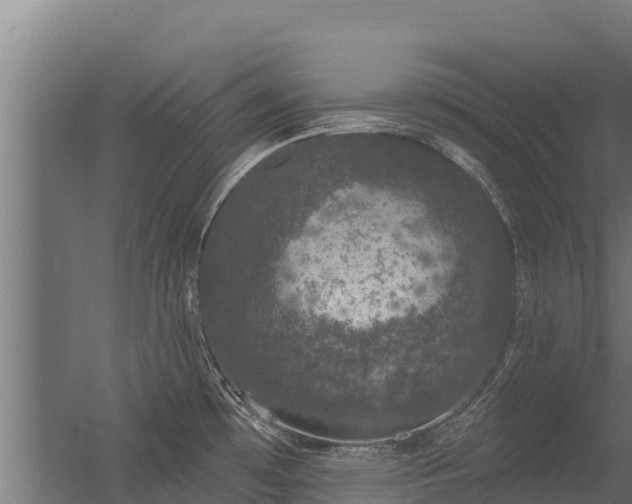 X0000056351481200509021709