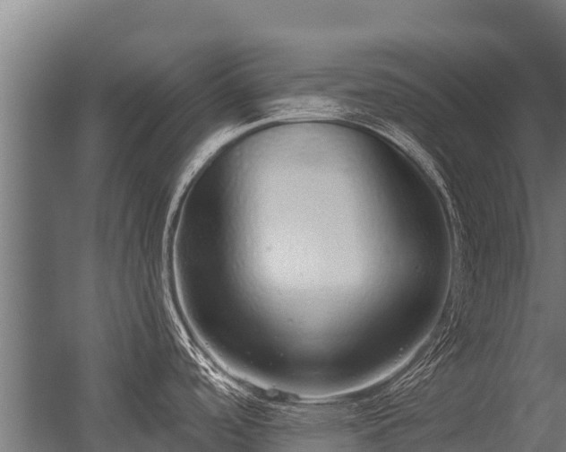 X0000056351488200509021709