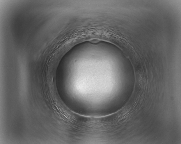 X0000056351489200509021708