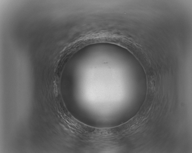 X0000056351493200509021708