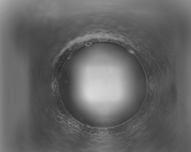 X0000056351495200509021708