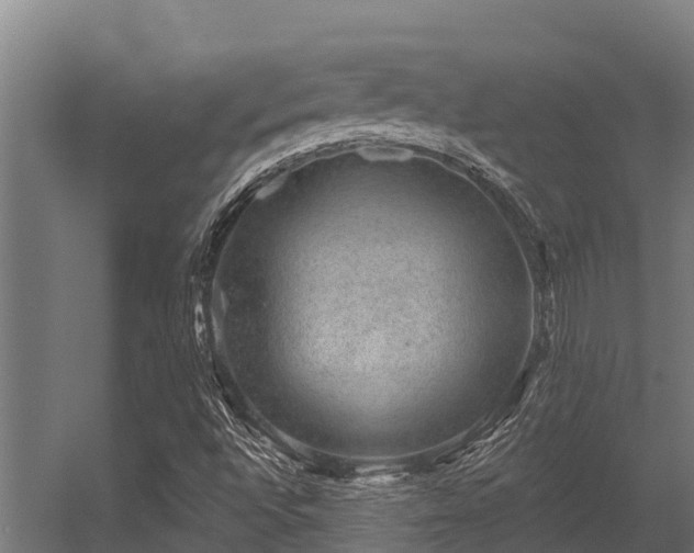 X0000056351496200509021708