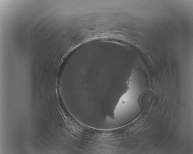 X0000056351497200509021708