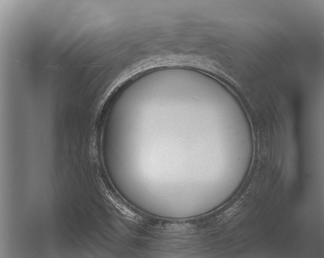 X0000056351498200509021708