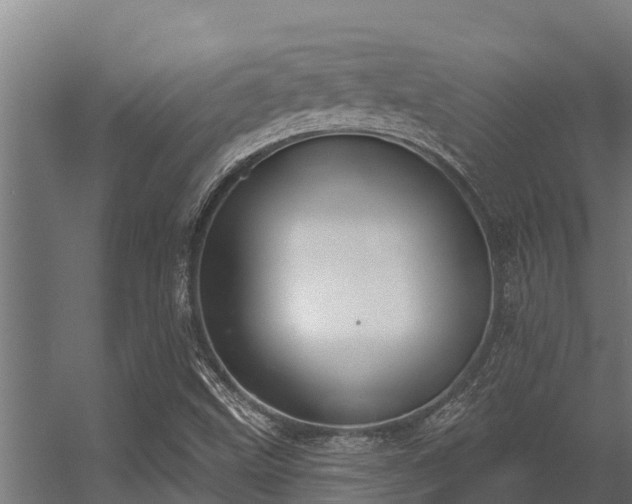 X0000056351499200509021708