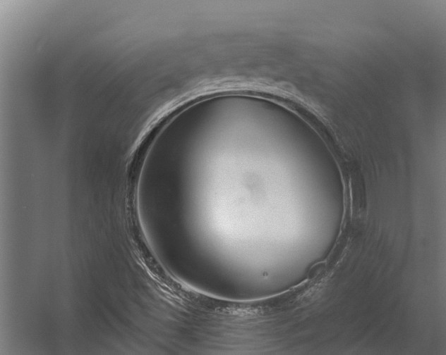 X0000056351501200509021708