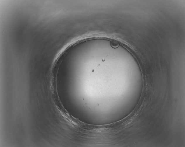 X0000056351502200509021708