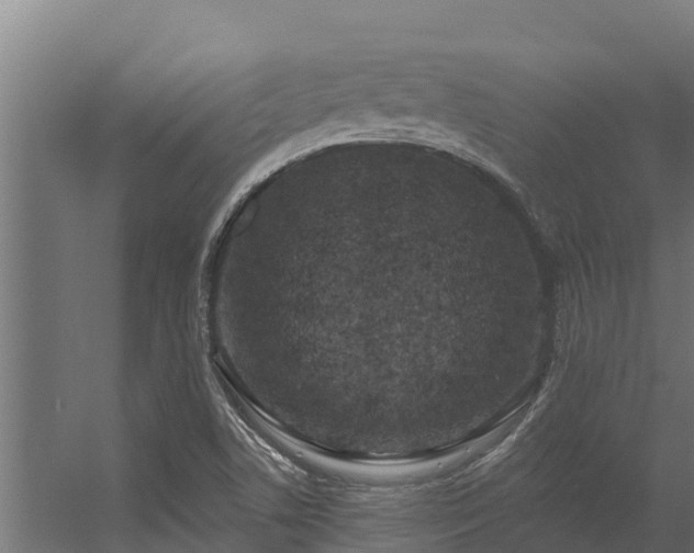 X0000056351506200509021708