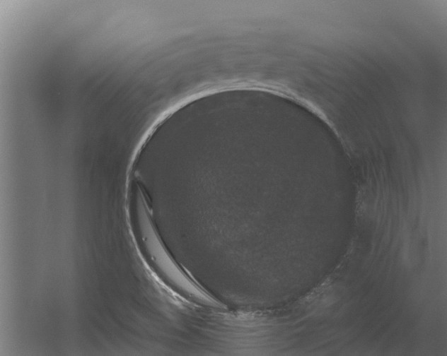 X0000056351508200509021708