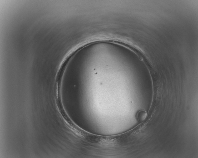 X0000056351509200509021708