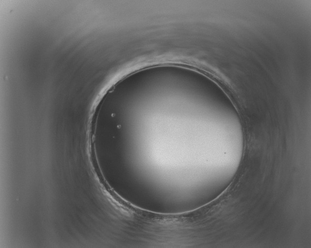 X0000056351512200509021708