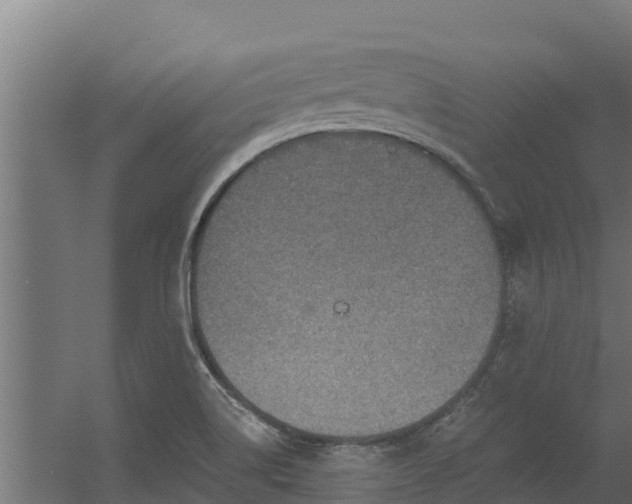 X0000056351514200509021708