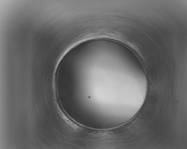 X0000056351516200509021708