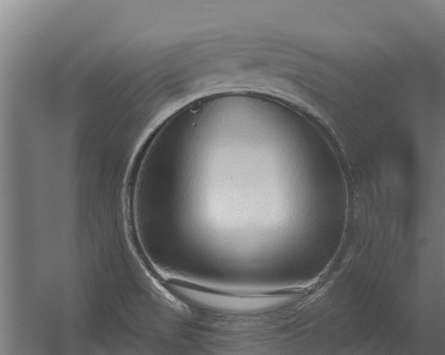 X0000056351517200509021708