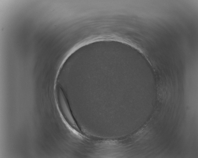 X0000056351519200509021708