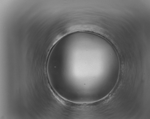 X0000056351521200509021708