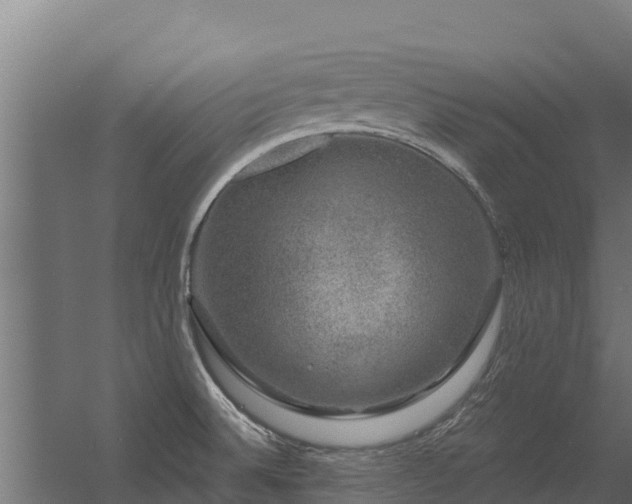 X0000056351524200509021708