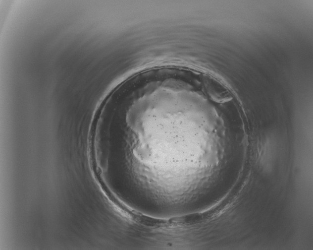 X0000056351525200509021708