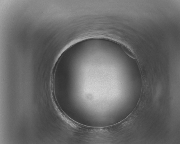 X0000056351526200509021708