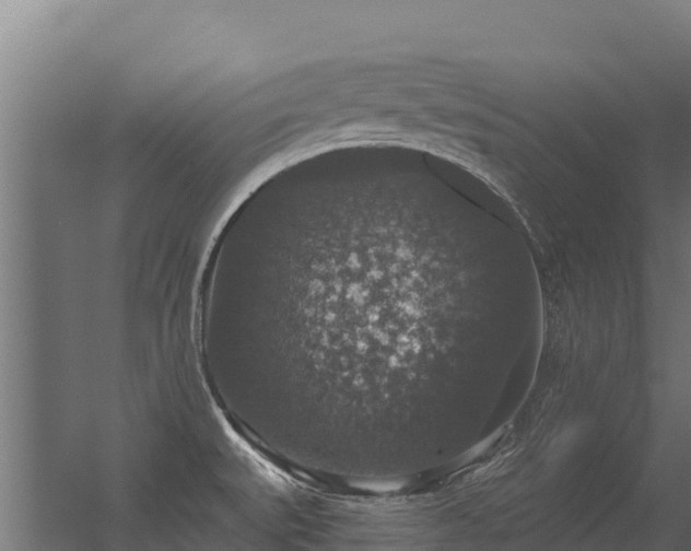 X0000056351527200509021708