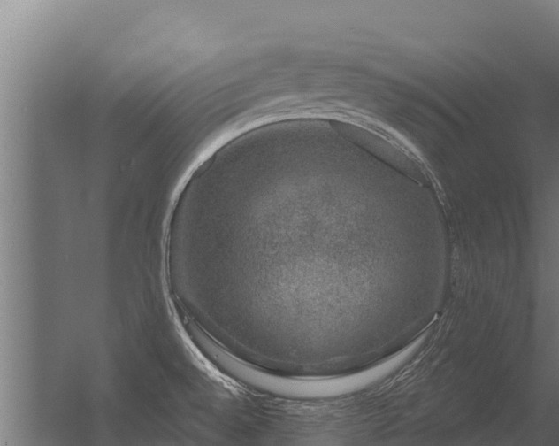 X0000056351528200509021708