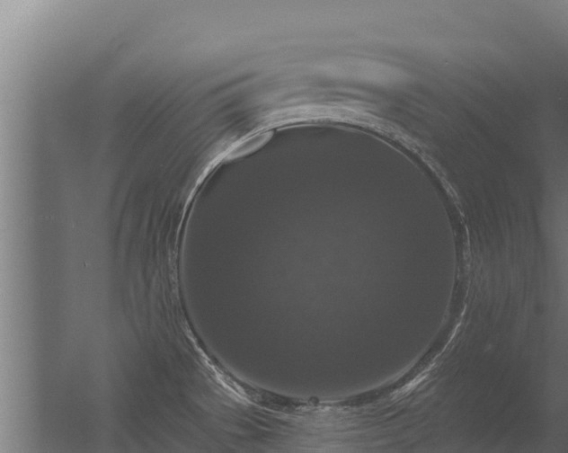 X0000056351529200509021708