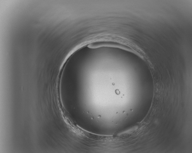 X0000056351530200509021708