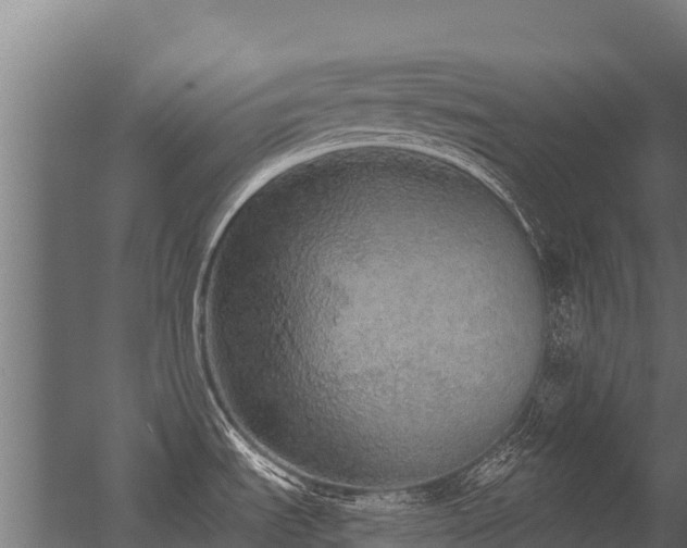 X0000056351535200509021708