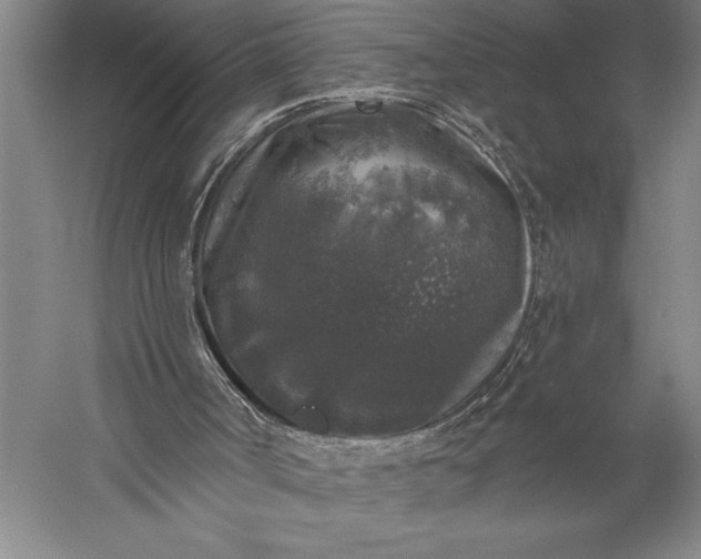 X0000056350002200509091608