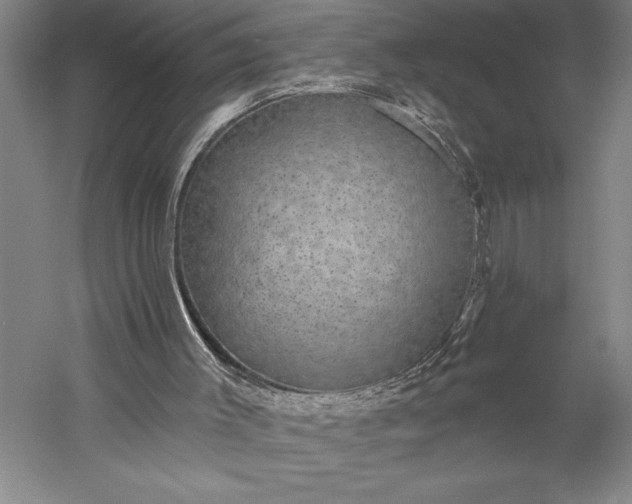 X0000056350003200509091608