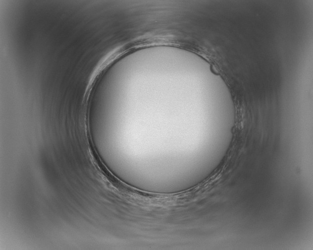 X0000056350004200509091608